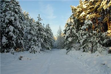 《逃离塔科夫》什么时候更新？ 网易UU加速器最低延迟 让你畅享档末狂欢
